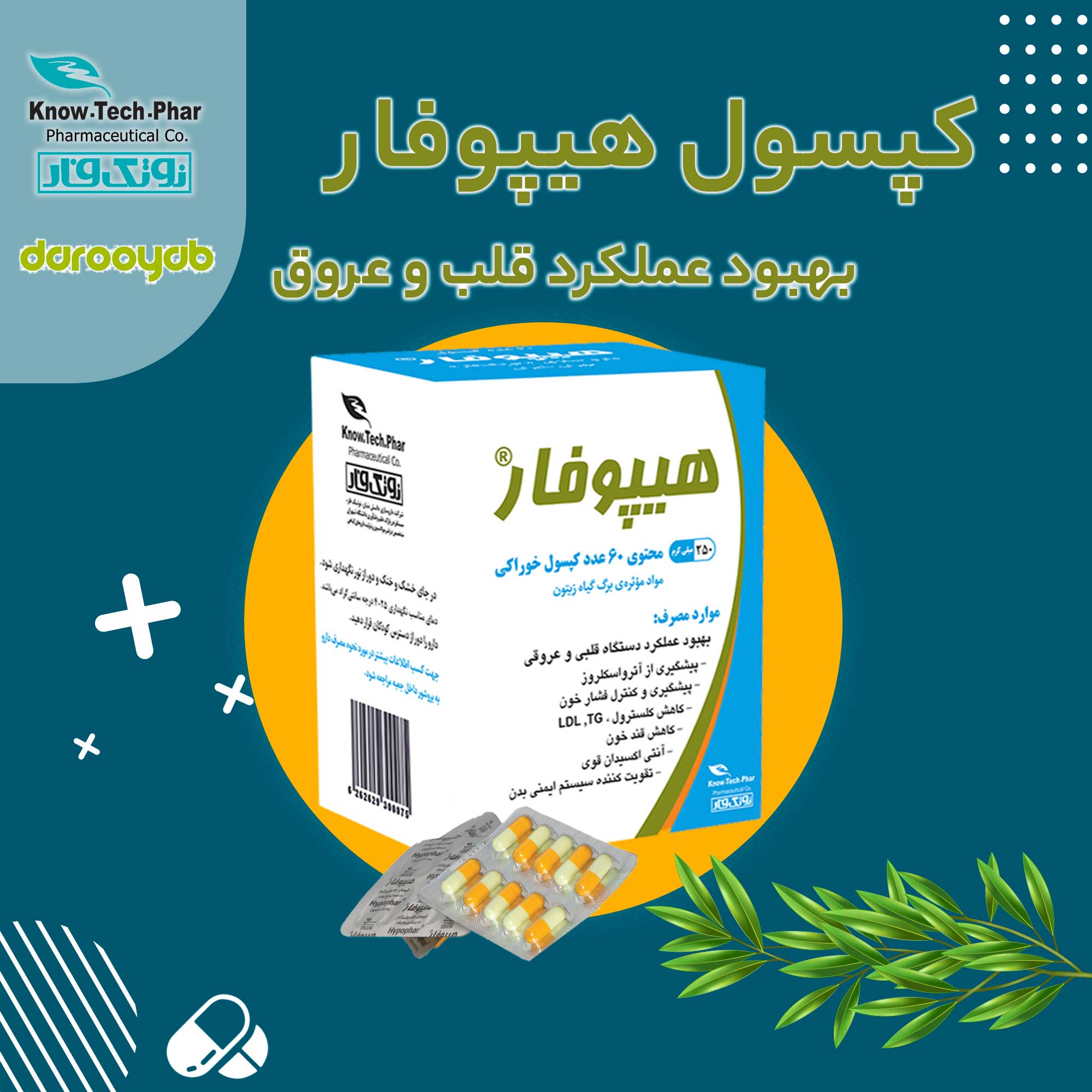 کپسول هیپوفار، بهبود عملکرد قلب و عروق